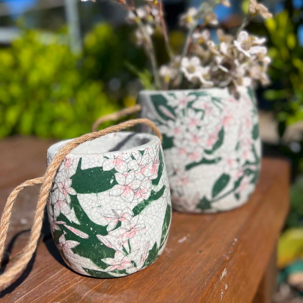 Hanging Frangipani Pots
