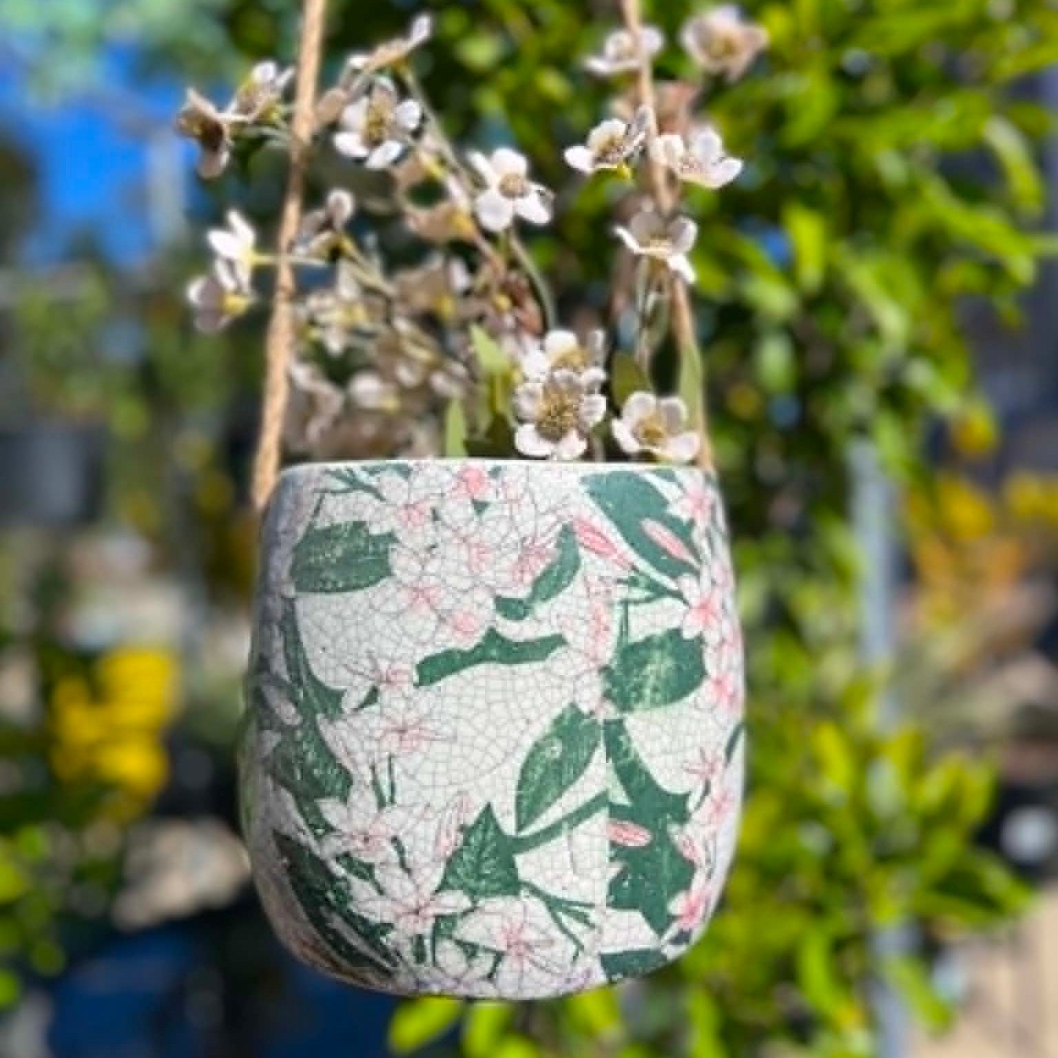 Hanging Frangipani Pots