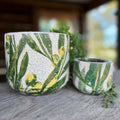 Olive Leaf Pots