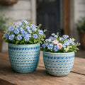"Flowers" Pots
