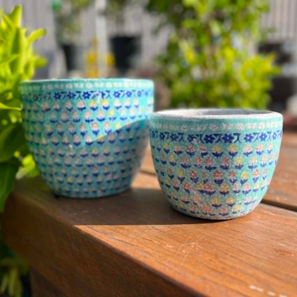 "Flowers" Pots