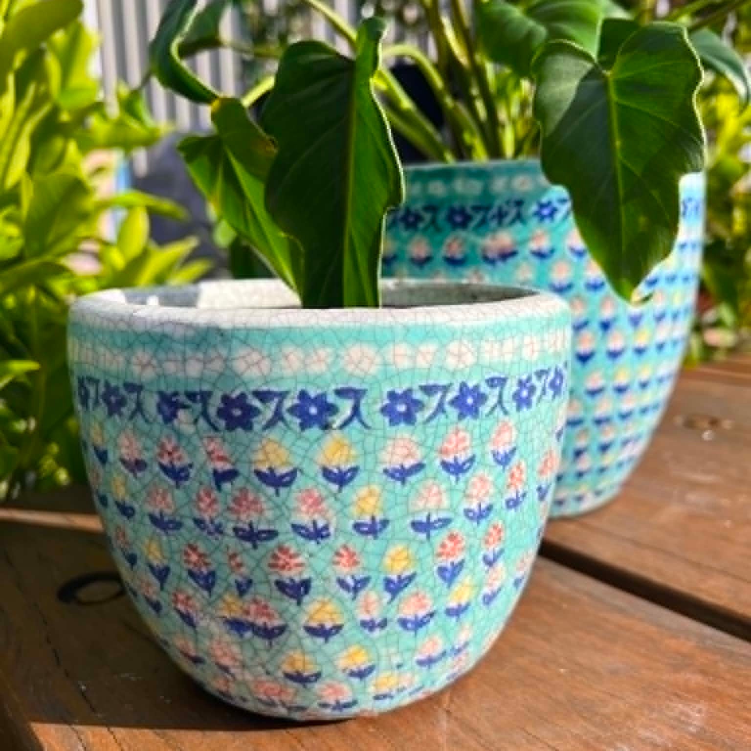 "Flowers" Pots