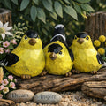 Goldfinch Birds
