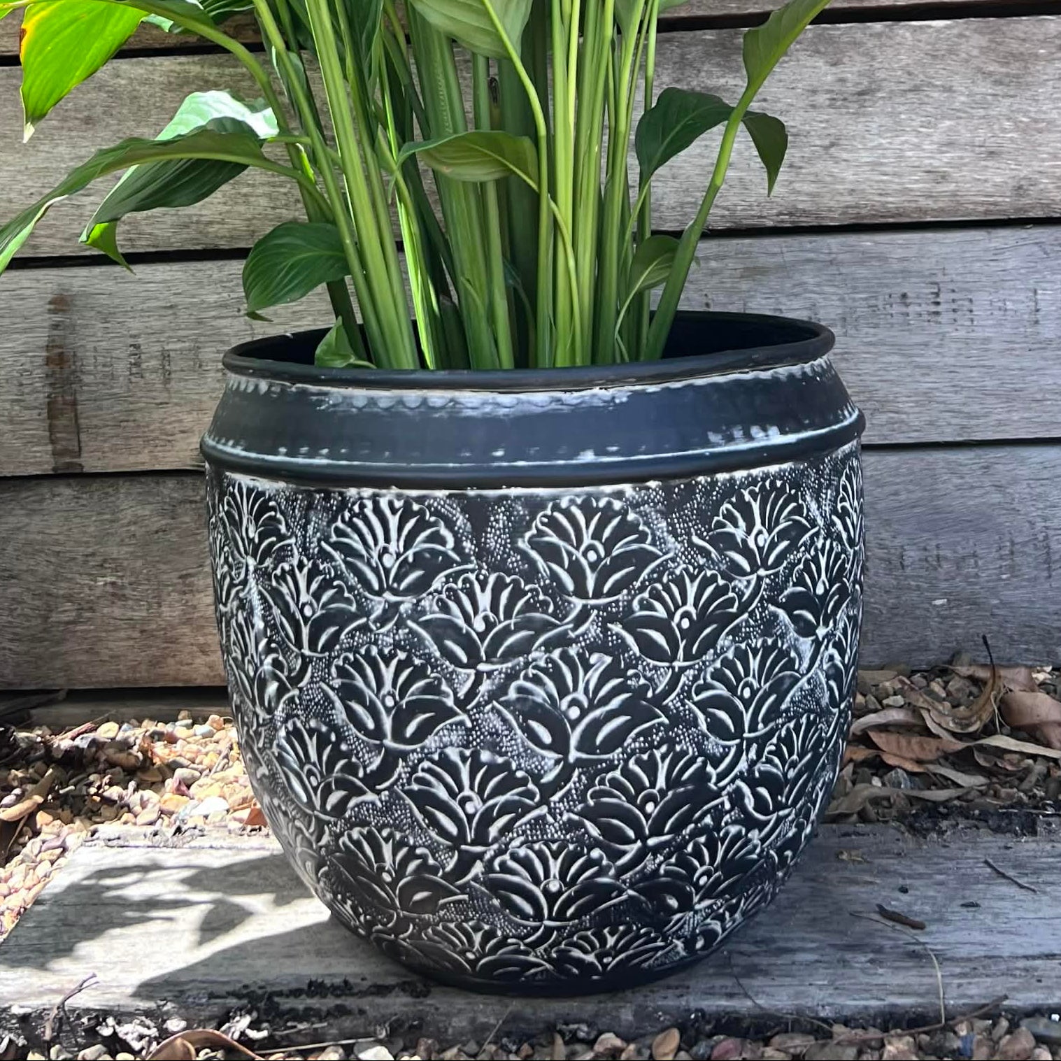 Black & White Boho Planters