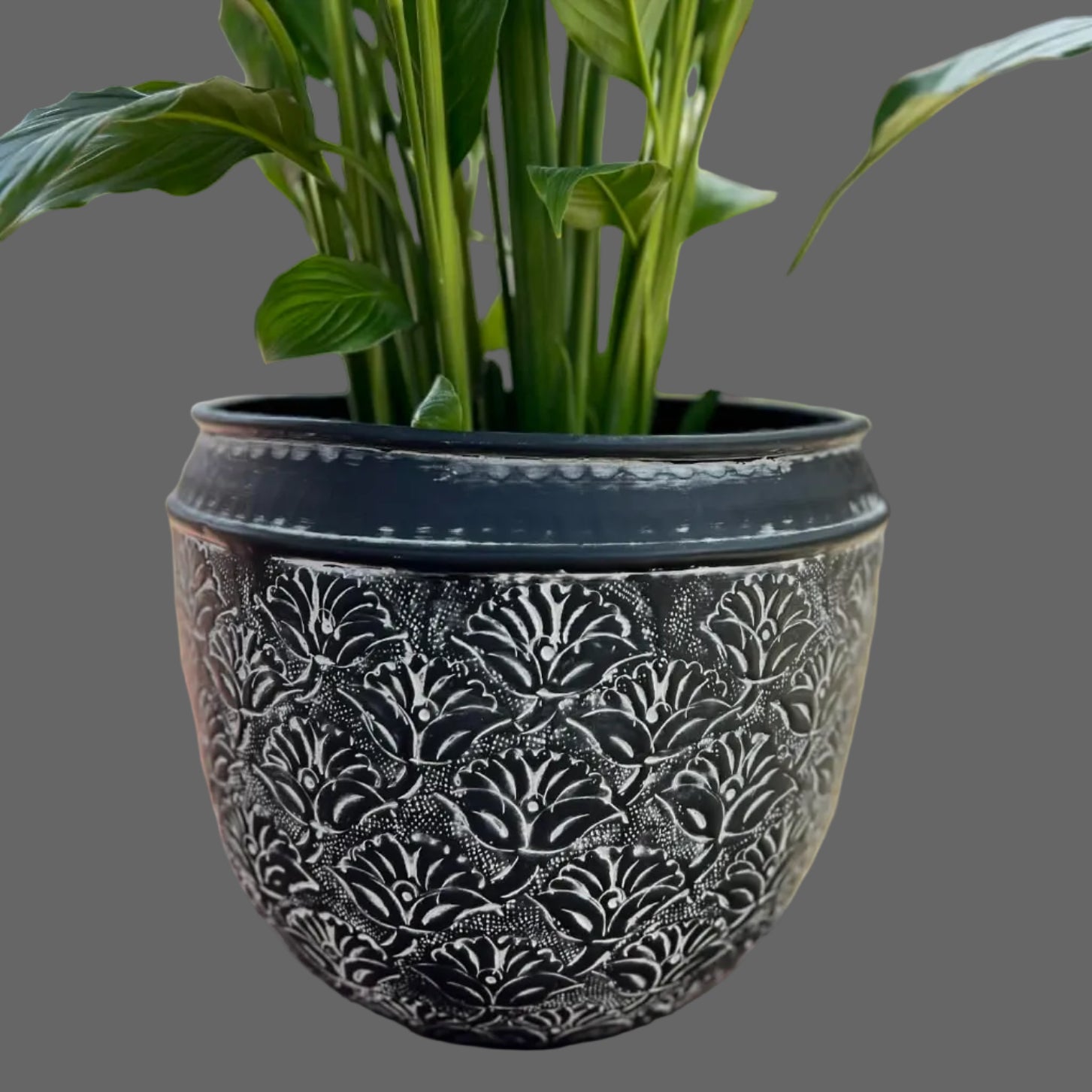 Black & White Boho Planters