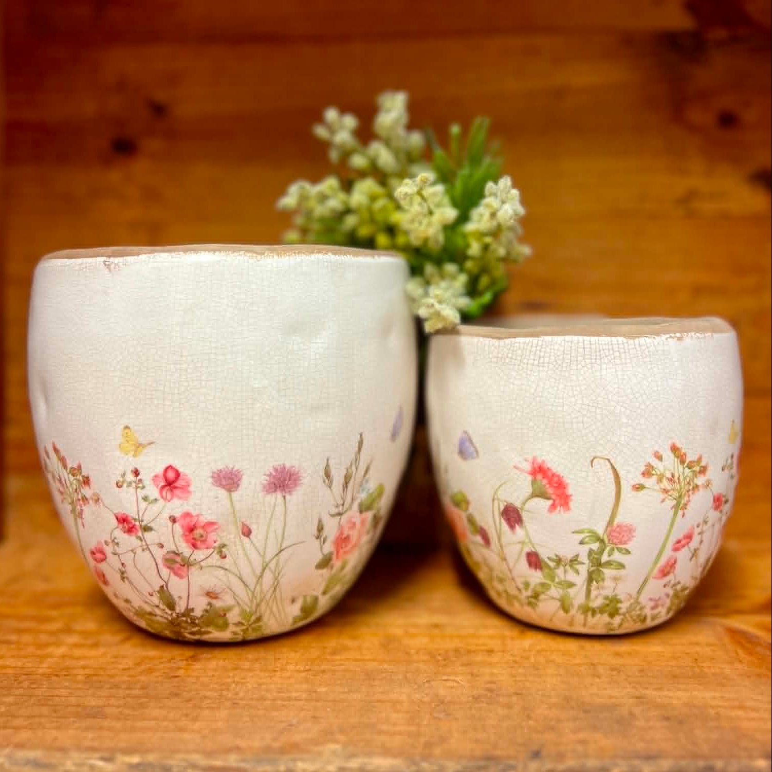 Wildflower Botanical Pots