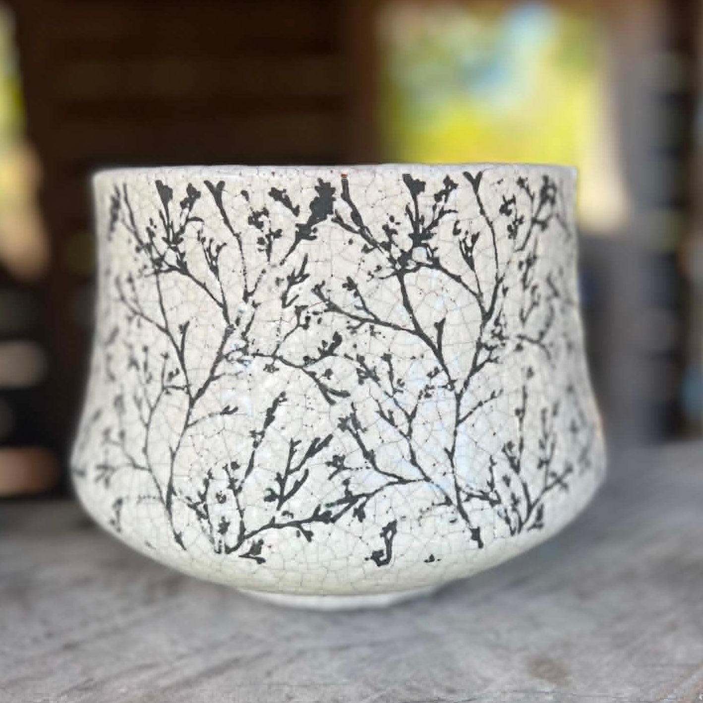 "Forest" Black & White Squat Planters