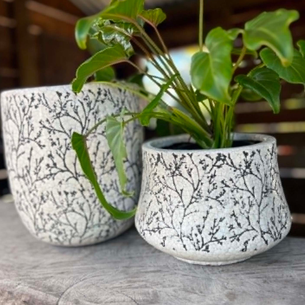 "Forest" Black & White Squat Planters