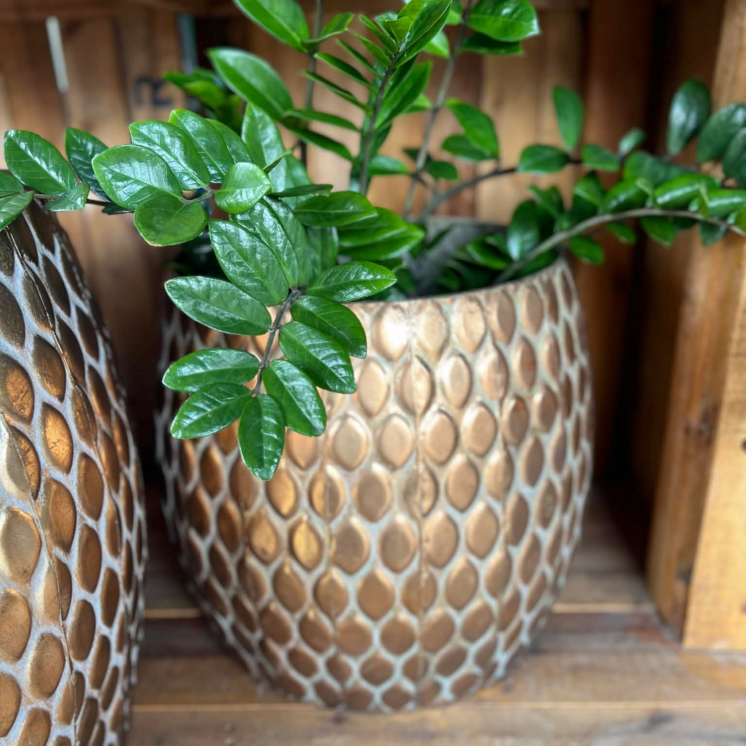 Gold Patterned Planter/Table