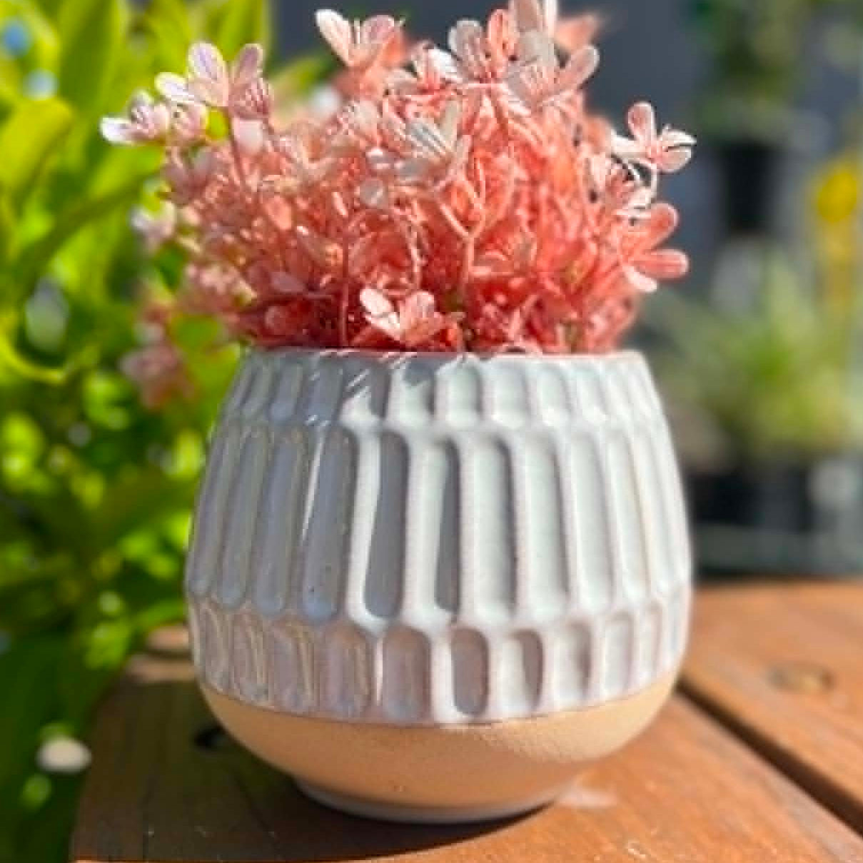 Modern Textured Pot