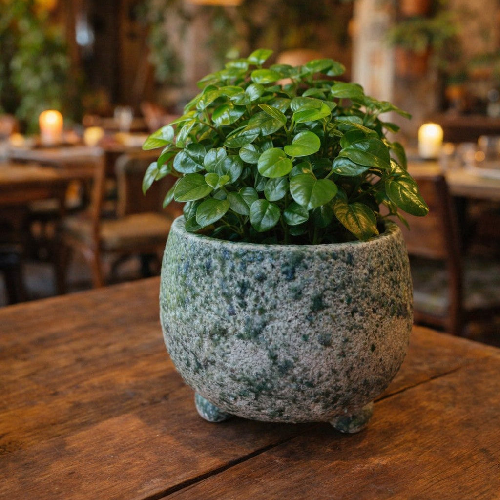 Volcanic JADE Round Pot