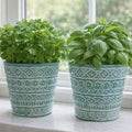 Mint Green & White Pots