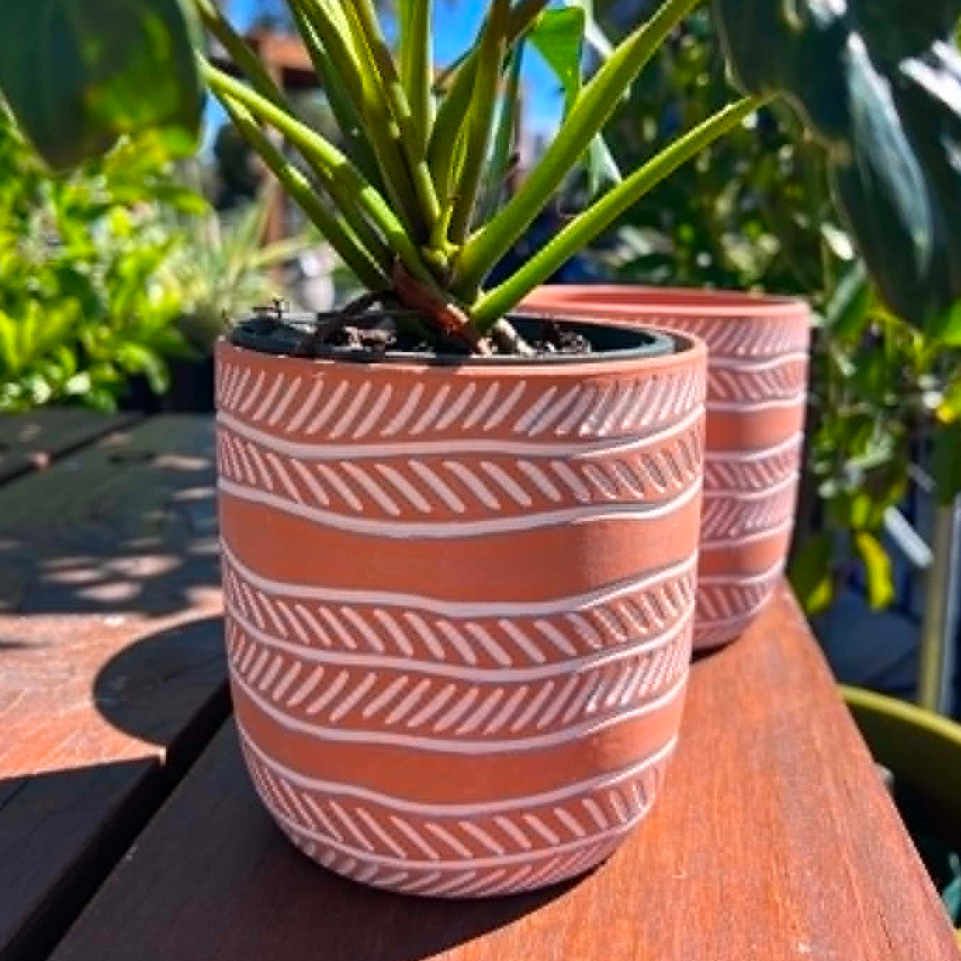 Terracotta White Leaf Stripe Pot