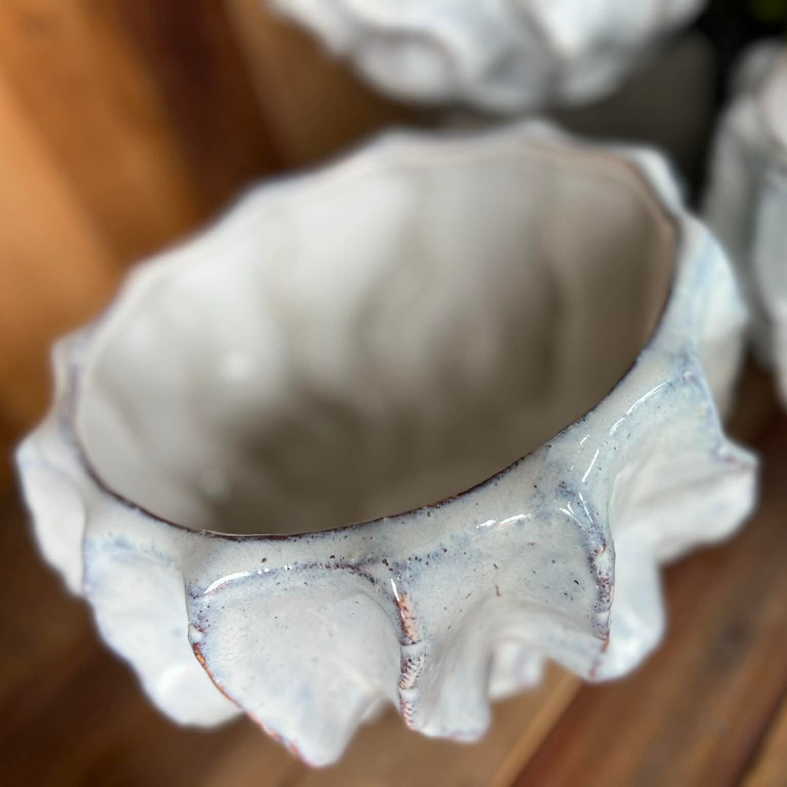 White Coral Inspired Pots