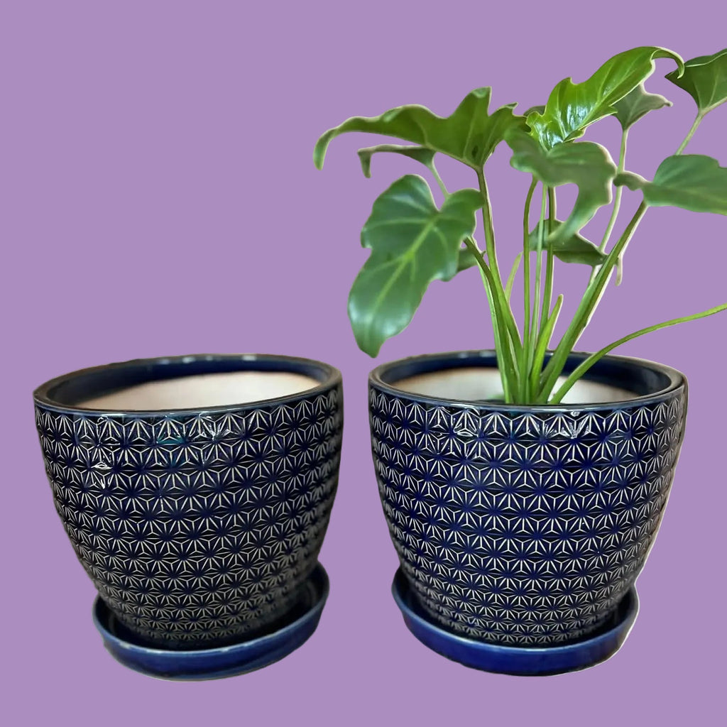 Blue Patterned Pots