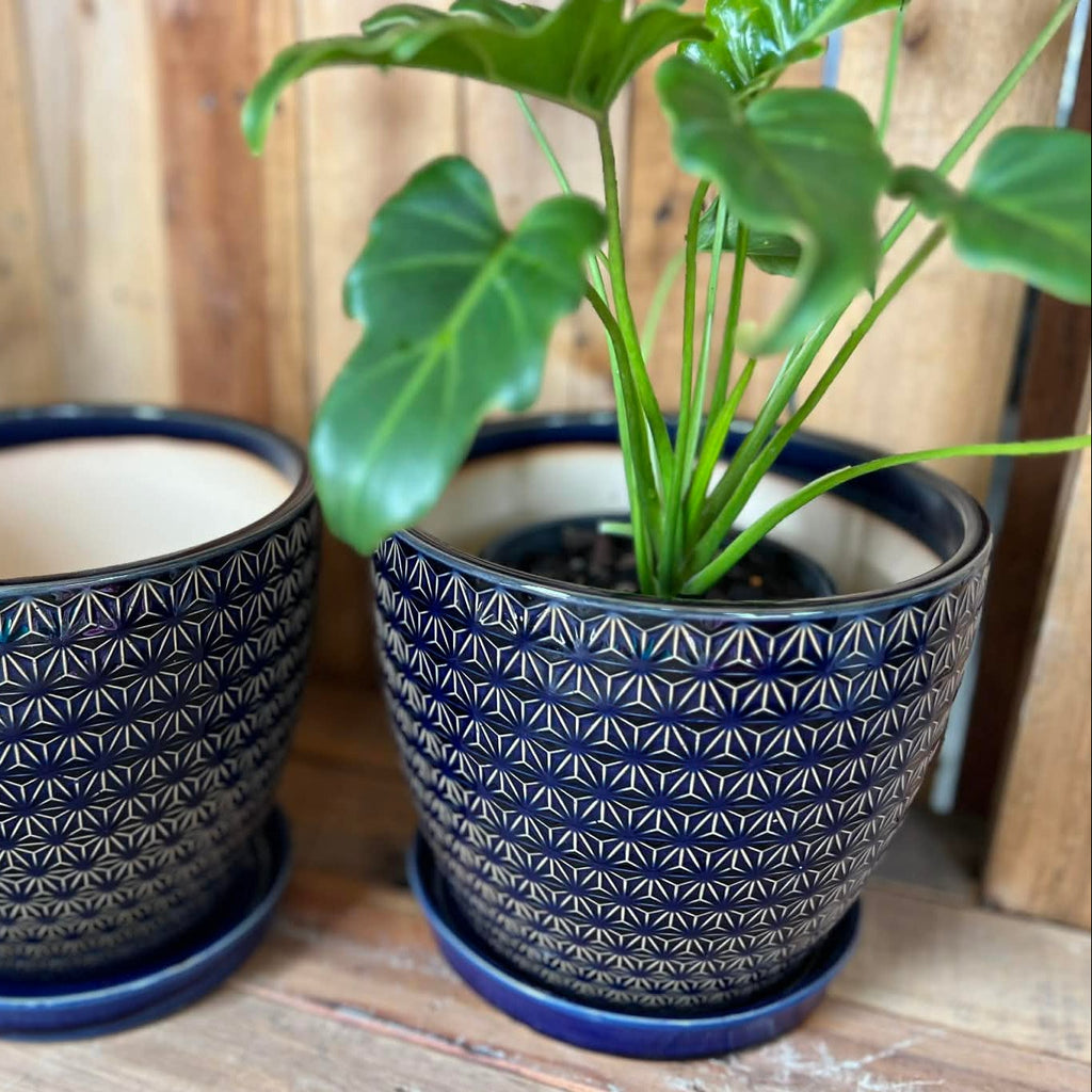 Blue Patterned Pots