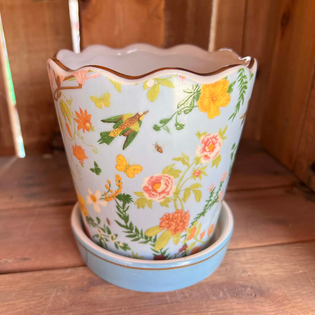 Botanical Pot with saucer