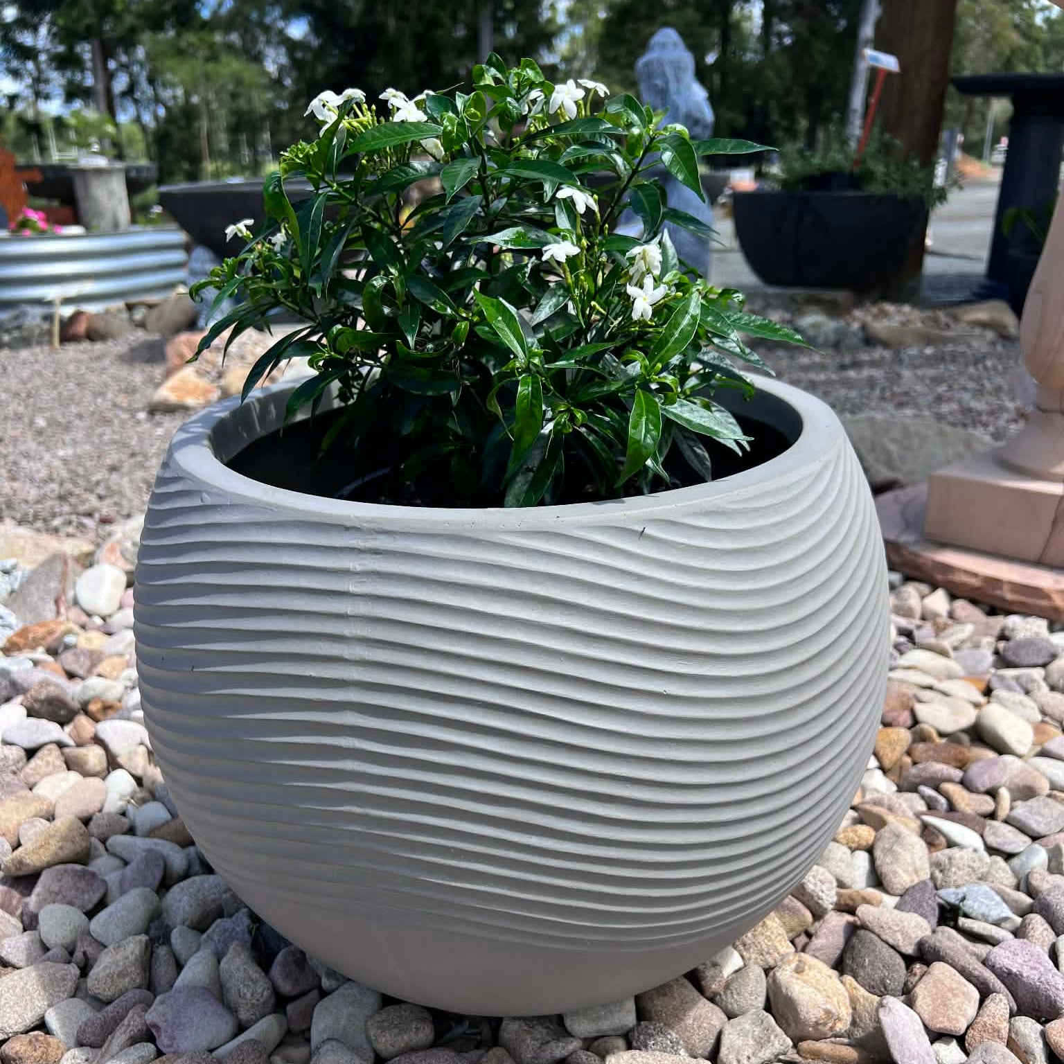 Zen Pot