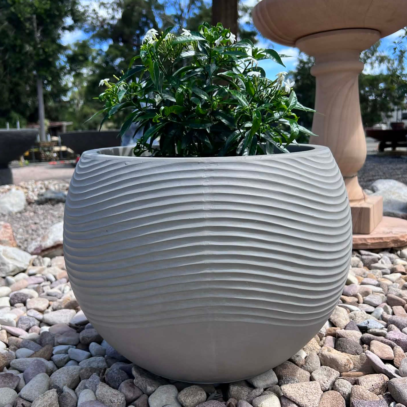 Zen Pot