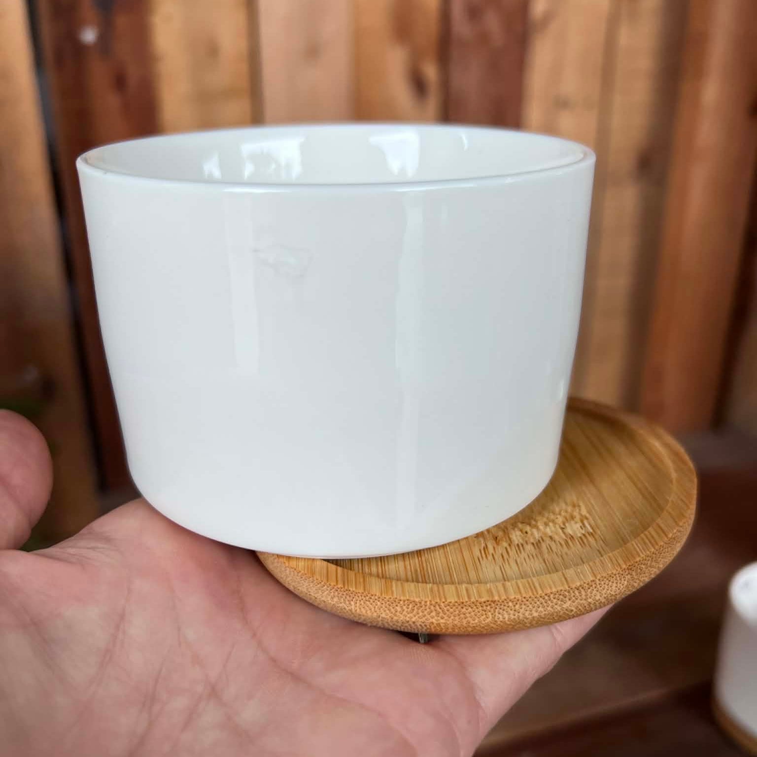 "I Love You" Sausage Dog Pot