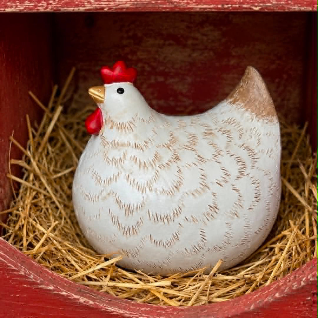 Chubby White Hen