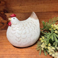 Chubby White Hen