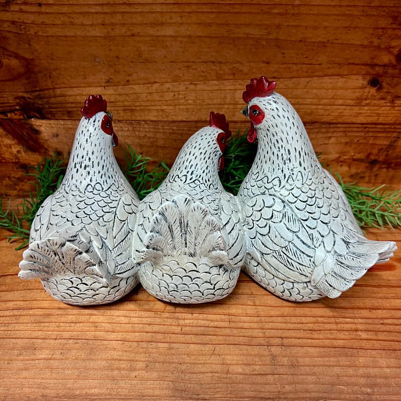 Trio of White Hens