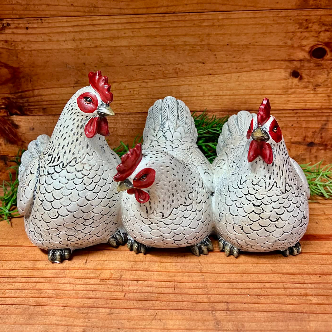 Trio of White Hens