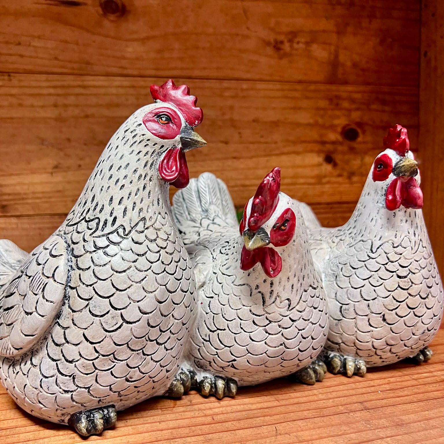 Trio of White Hens