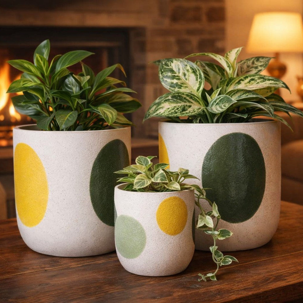 Green & Yellow Dotty Pots